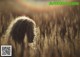 A woman standing in a field of tall grass.