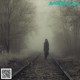 A woman walking down a train track in the fog.