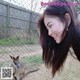 A woman standing next to a kangaroo in a fenced in area.